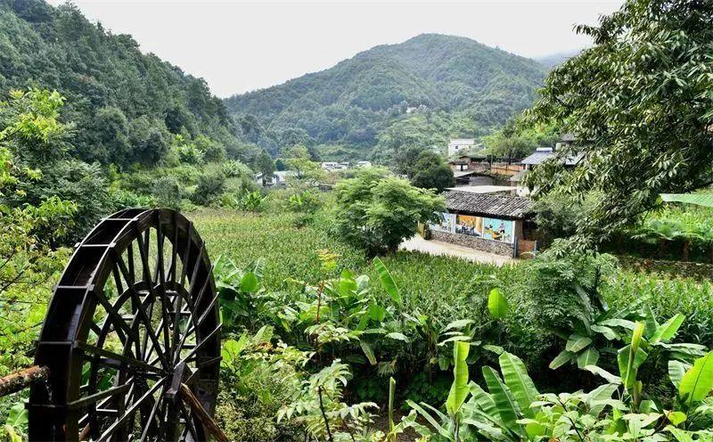 鄂嘉镇最新交通动态报道